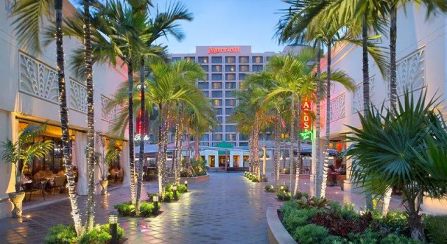 Люкс Boca Raton Marriott at Boca Center