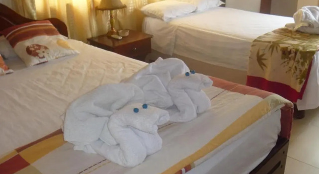 Трёхместный номер Standard Hostal casa de los delfines
