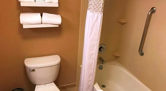 Двухместный люкс c 1 комнатой Hampton Inn & Suites Bloomington-Normal