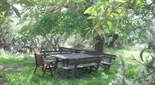 Апартаменты Standard Agriturismo i Moresani
