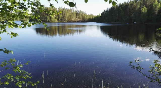 Salkolahti Huvikumpu, Забронировать Вилла Мянття Центральная Финляндия
