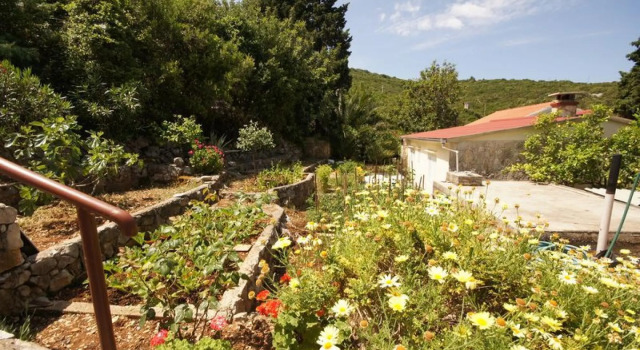 Paulo1 - Peacefull and Charming - H, Prenota Hotel Vis 