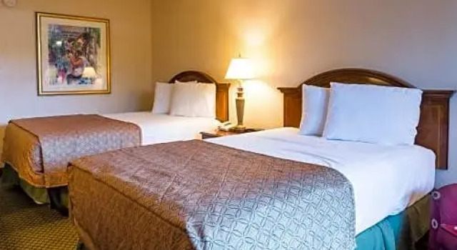 Четырёхместный номер Deluxe Vista Inn & Suites Tampa