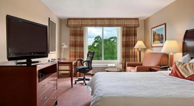 Номер Standard Hilton Garden Inn Oakbrook Terrace