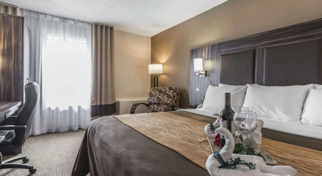 Comfort Inn Trenton