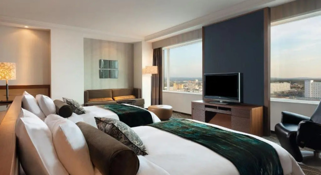 Полулюкс ANA Crowne Plaza Chitose by IHG