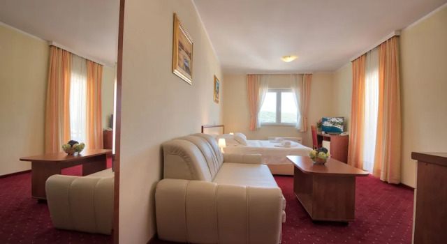 Двухместный номер Standard с балконом и с видом на сад Hotel AGAVA