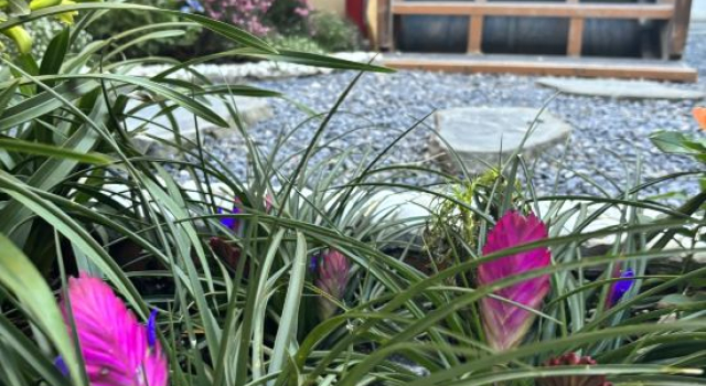 Yuanyuan Na's Garden Homestay (Dali Ancient City Branch)