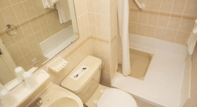 Одноместный номер Superior Himley Country Hotel