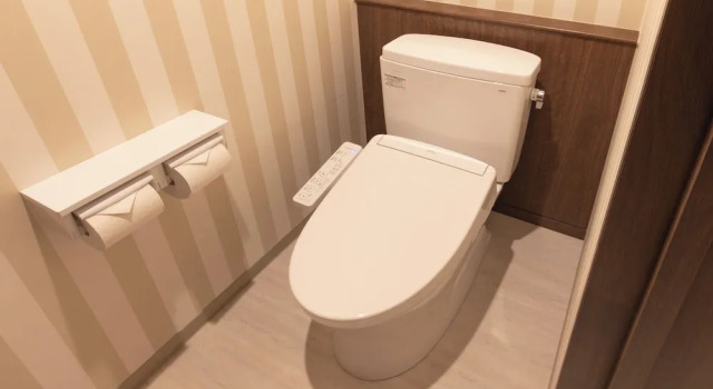 Номер Superior Ooedo Onsen Monogatari Premium Shima Saichoraku