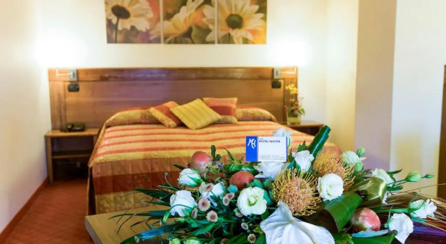 Standard Kahden hengen huone Hotel Master