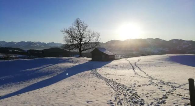 Апартаменты Appartement Alpblick