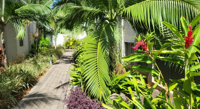 Апартаменты Beachwalk Deluxe Apartment - 50 steps to the beach