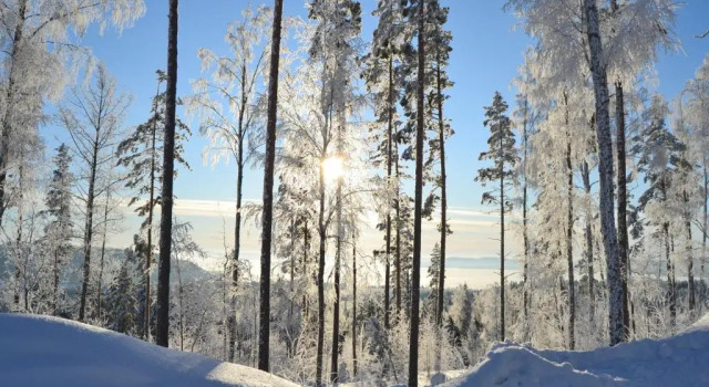 Коттедж с 2 комнатами с красивым видом из окна Riihivuori Cottages