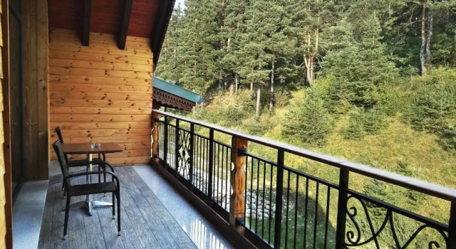 Студия Hot Springs Medical and SPA