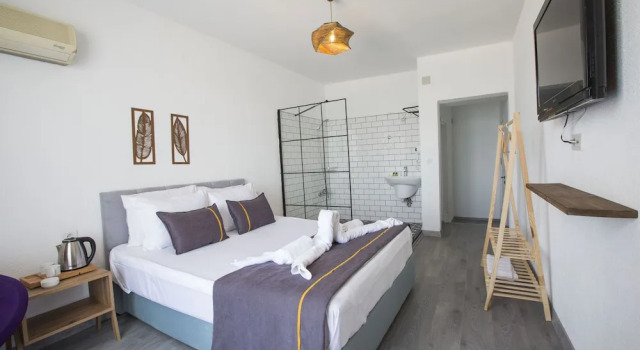 Четырёхместный семейный люкс Surla Hotel