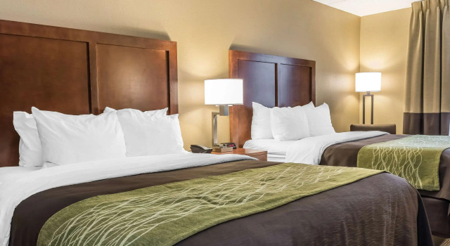 Четырёхместный номер Standard Comfort Inn & Suites Piqua-Near Troy-I75