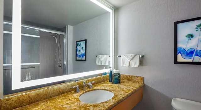Номер Parlor Hotel Fera Anaheim, a DoubleTree by Hilton Hotel