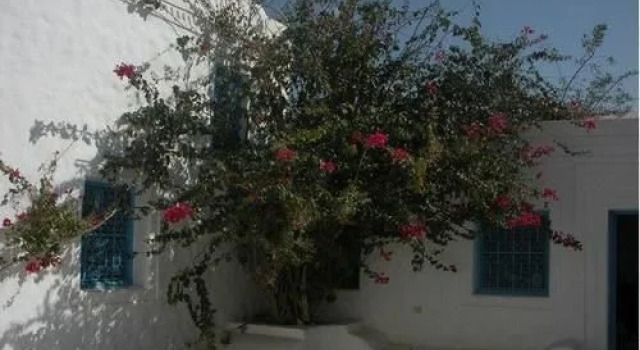 Dar Zina