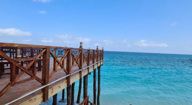 Отель Zenobia Beach Resort