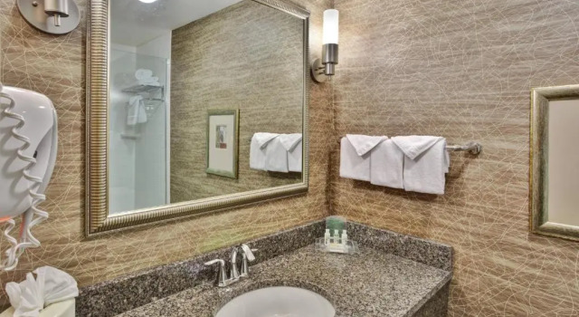 Номер Standard Holiday Inn Detroit Metro Airport by IHG