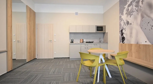Апартаменты c 1 комнатой SLADOVNA Apartments
