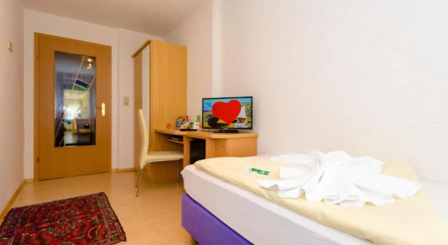 Одноместный номер Standard 1a Hotel Steiner