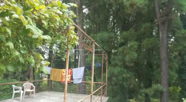 Tamuna, Book Hotel Kobuleti 