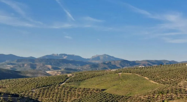 Апартаменты Casa Pino Solo