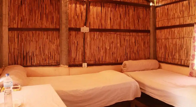 Номер Economy Chital lodge