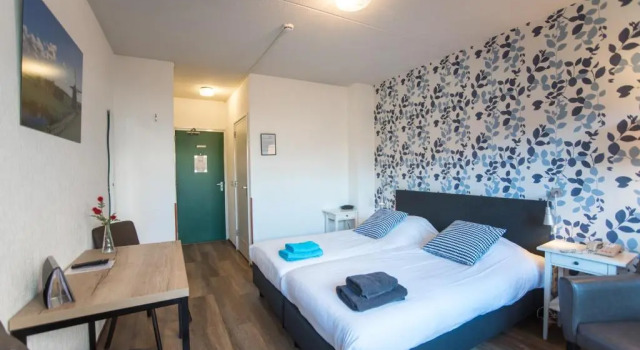 Двухместный номер Standard Hotel Faber