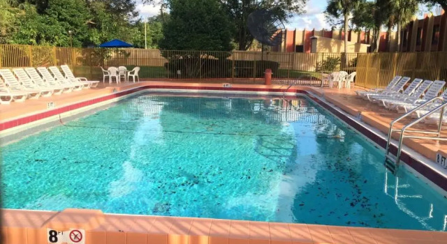 Rodeway Inn Tampa, Book Hotel Tampa Florida