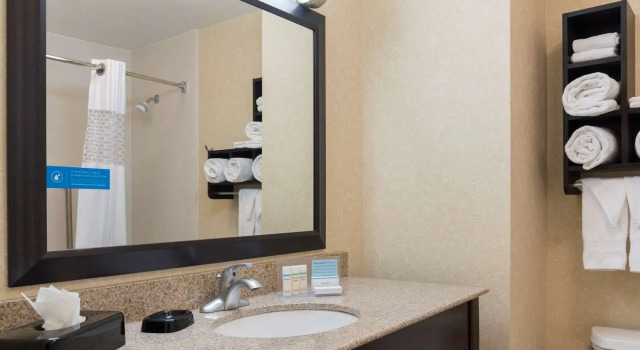 Номер Standard Hampton Inn Detroit Roseville