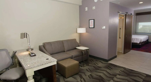 Двухместный полулюкс Hilton Garden Inn Tampa Suncoast Parkway