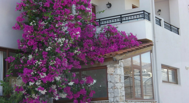 Serenity Hideaway, Забронировать Отель Палеохора Западный Крит