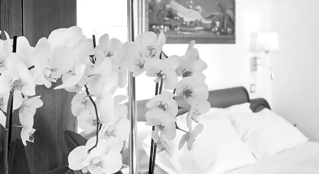 Номер Standard с видом на море Hotel Villa Schuler