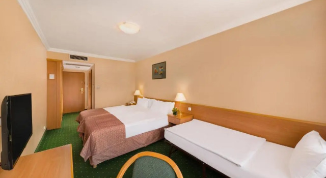Трёхместный номер Standard Danubius Hotel Arena