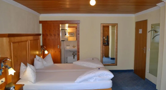 Двухместный номер Standard Hotel Alpenresi