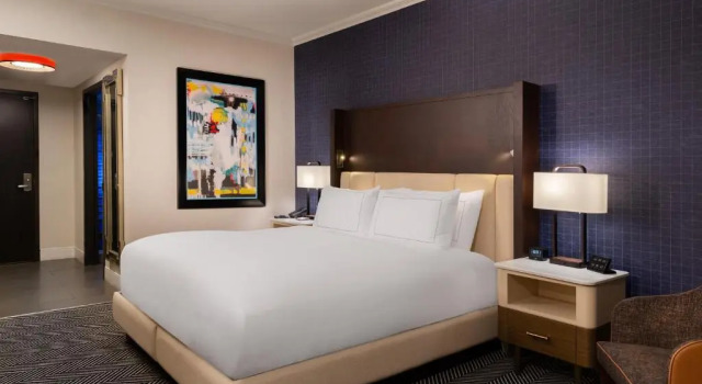 Двухместный номер Accessible Hilton Austin
