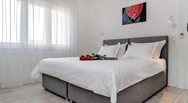 Номер Deluxe Villa Zvonko