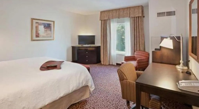 Номер Standard Hampton Inn Kingston