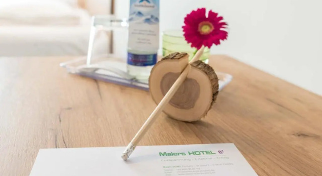 Одноместный номер Standard Maiers Hotel Parsberg