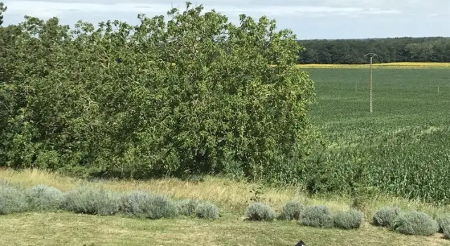 Коттедж Comfort La Tour de Lierre 3