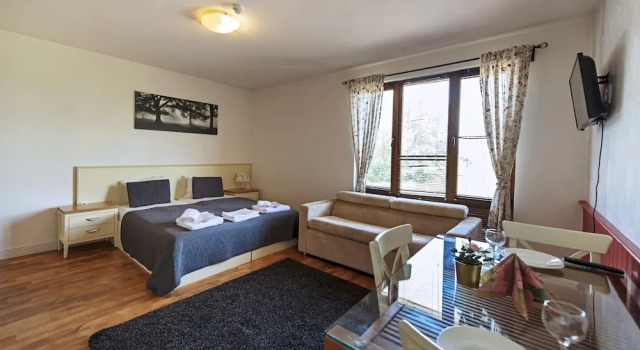 Семейная студия Mountain View Aparthotel