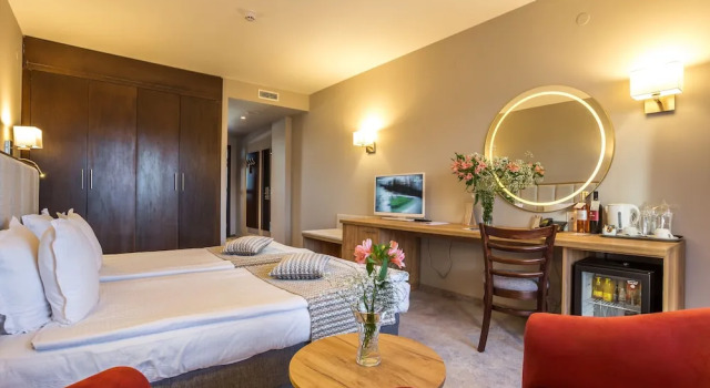 Двухместный номер Standard с балконом и с видом на горы Hotel Orlovetz