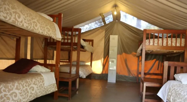 Кровать в общем номере Wildebeest Eco Camp