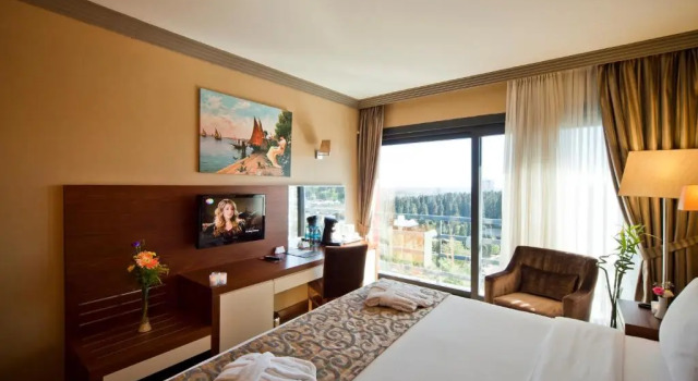 Номер Standard с красивым видом из окна Volley Hotel Istanbul