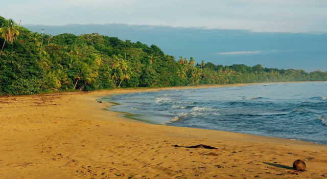 Almonds & Corals Boutique Hotel, Book Boutique Manzanillo Limon
