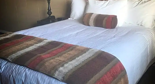Номер Standard Vegreville Garden Inn