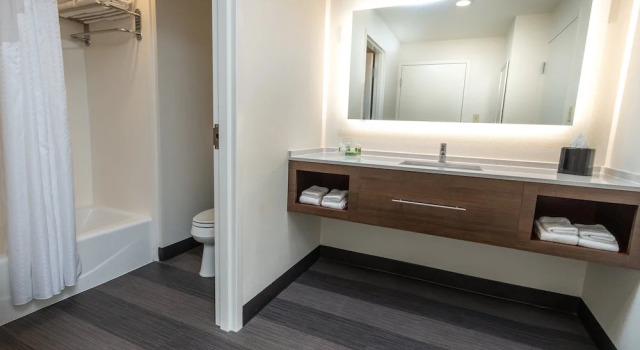 Четырёхместный люкс Holiday Inn & Suites Memphis - Wolfchase Galleria by IHG